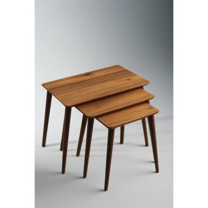 Ayge Istanbul 3'lü Zigon Sehpa %100 Mdf Ahşap - Görsel 2
