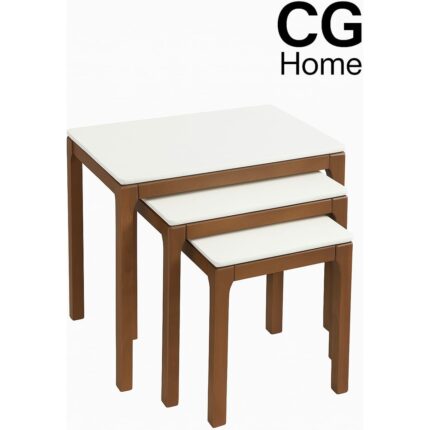 Cg Home Mono Zigon Sehpa Üçlü Lüx %100 Ağaç Lake Boyalı Sehpa - Görsel 3