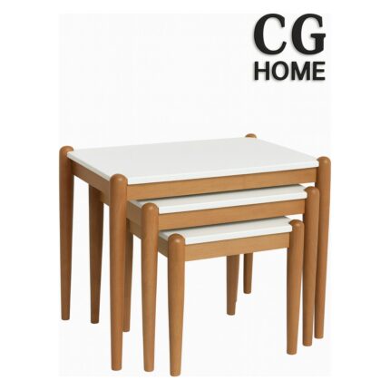 Cg Home Ada Zigon Sehpa Üçlü Lüx %100 Ağaç Lake Boyalı Sehpa